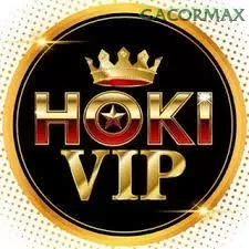 Hokivip